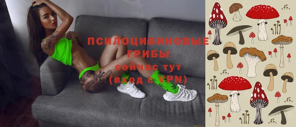 прущие крисы Алексеевка