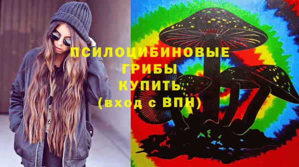 стаф Абинск