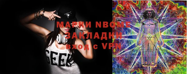 стаф Абинск